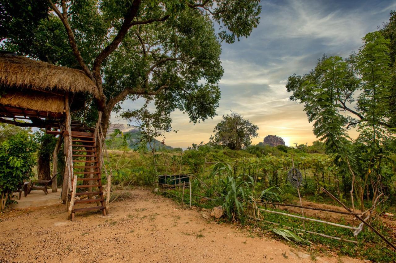 Sigiriya King'S Resort Exterior photo