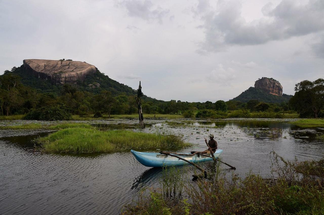 Sigiriya King'S Resort Exterior photo